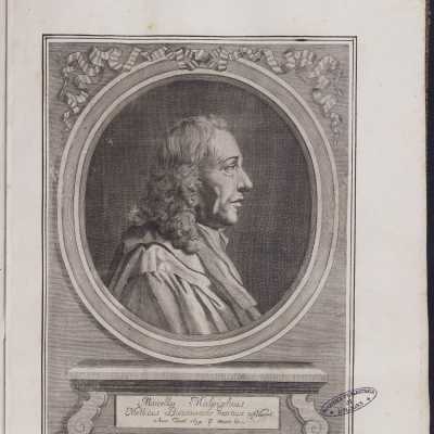 Isabella Piccini, ritratto di Marcello Malpighi