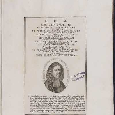 Anonimo, ritratto di Marcello Malpighi, 1700 circa